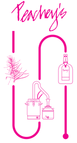 Waveney Valley Spirits